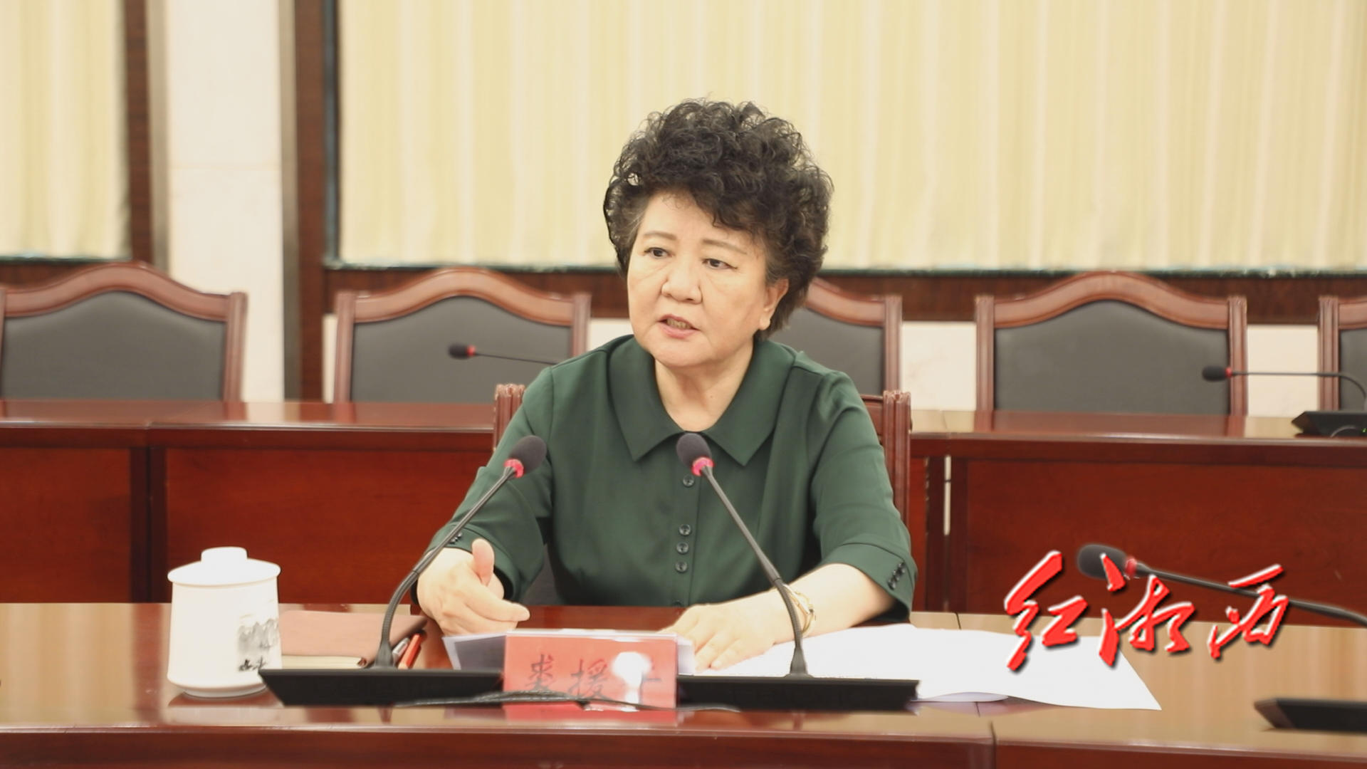 中央第十督导组组长裘援平作讲话