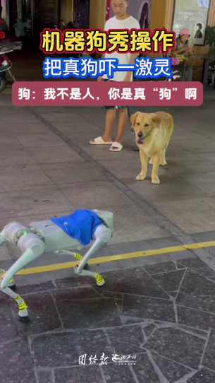 视频|机器狗秀操作,把真狗吓一激灵,狗:我不是人,你是真“狗”啊
